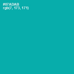 #07ADAB - Persian Green Color Image