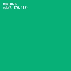 #07B076 - Jade Color Image