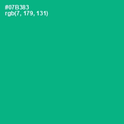 #07B383 - Niagara Color Image