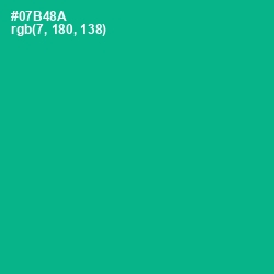 #07B48A - Persian Green Color Image