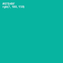 #07B49F - Persian Green Color Image