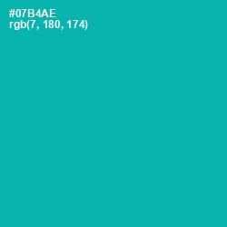 #07B4AE - Persian Green Color Image