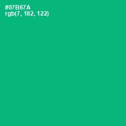 #07B67A - Jade Color Image