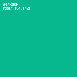 #07B88E - Persian Green Color Image
