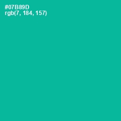 #07B89D - Persian Green Color Image
