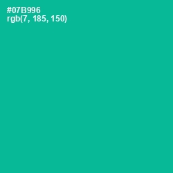 #07B996 - Persian Green Color Image