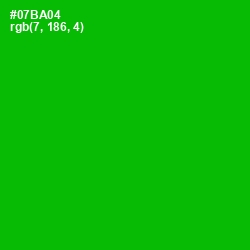 #07BA04 - Forest Green Color Image