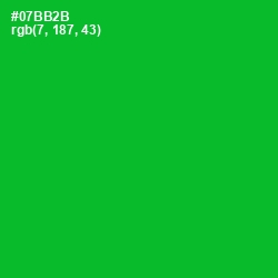 #07BB2B - Forest Green Color Image