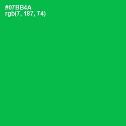 #07BB4A - Jade Color Image