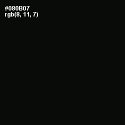 #080B07 - Cod Gray Color Image