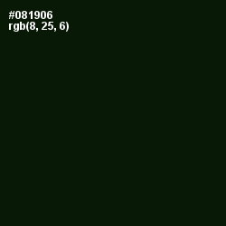 #081906 - Black Forest Color Image