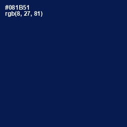 #081B51 - Gulf Blue Color Image