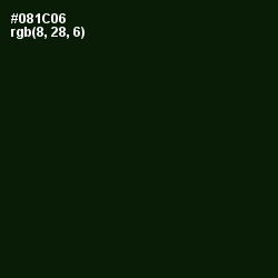 #081C06 - Black Forest Color Image