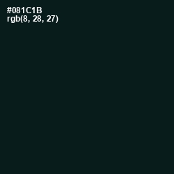 #081C1B - Aztec Color Image