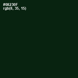 #08230F - Palm Green Color Image
