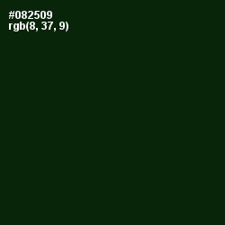 #082509 - Palm Green Color Image