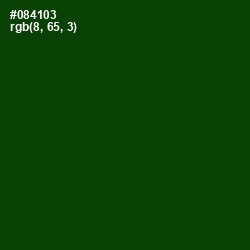 #084103 - Dark Fern Color Image