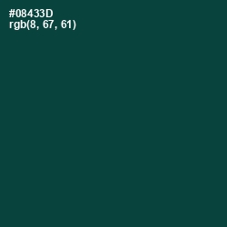 #08433D - Sherwood Green Color Image