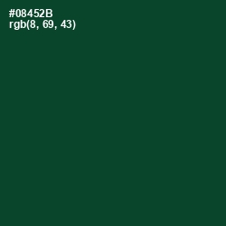 #08452B - Sherwood Green Color Image