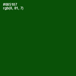 #085107 - Dark Fern Color Image