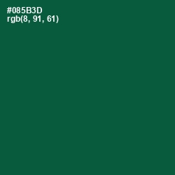 #085B3D - Sherwood Green Color Image