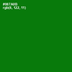 #087A0B - Japanese Laurel Color Image