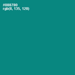 #088780 - Teal Color Image