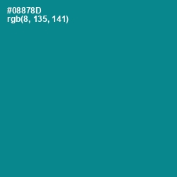 #08878D - Teal Color Image