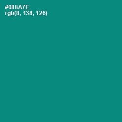 #088A7E - Elf Green Color Image