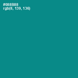 #088B88 - Teal Color Image