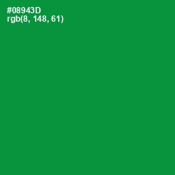 #08943D - Forest Green Color Image