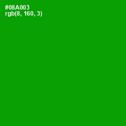 #08A003 - Forest Green Color Image