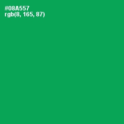 #08A557 - Green Haze Color Image