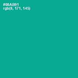 #08AB91 - Persian Green Color Image