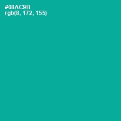 #08AC9B - Persian Green Color Image