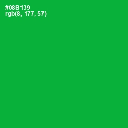 #08B139 - Forest Green Color Image