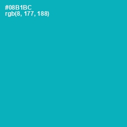 #08B1BC - Bondi Blue Color Image