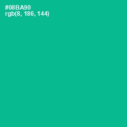 #08BA90 - Persian Green Color Image