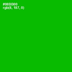 #08BB00 - Forest Green Color Image