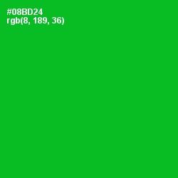 #08BD24 - Forest Green Color Image