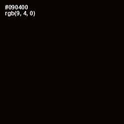 #090400 - Black Color Image