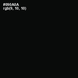 #090A0A - Cod Gray Color Image