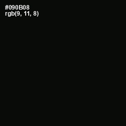 #090B08 - Cod Gray Color Image
