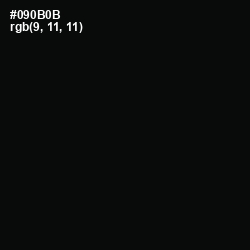 #090B0B - Cod Gray Color Image