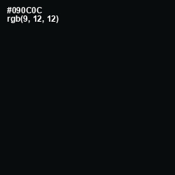 #090C0C - Cod Gray Color Image
