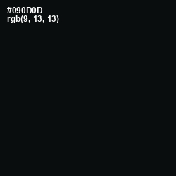 #090D0D - Cod Gray Color Image