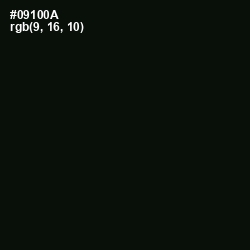 #09100A - Gordons Green Color Image