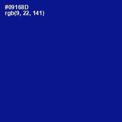 #09168D - Ultramarine Color Image