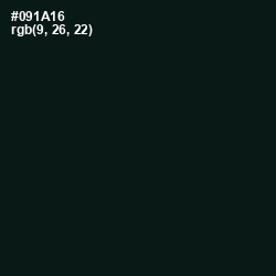 #091A16 - Racing Green Color Image
