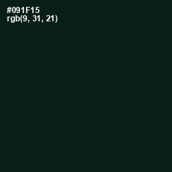 #091F15 - Racing Green Color Image